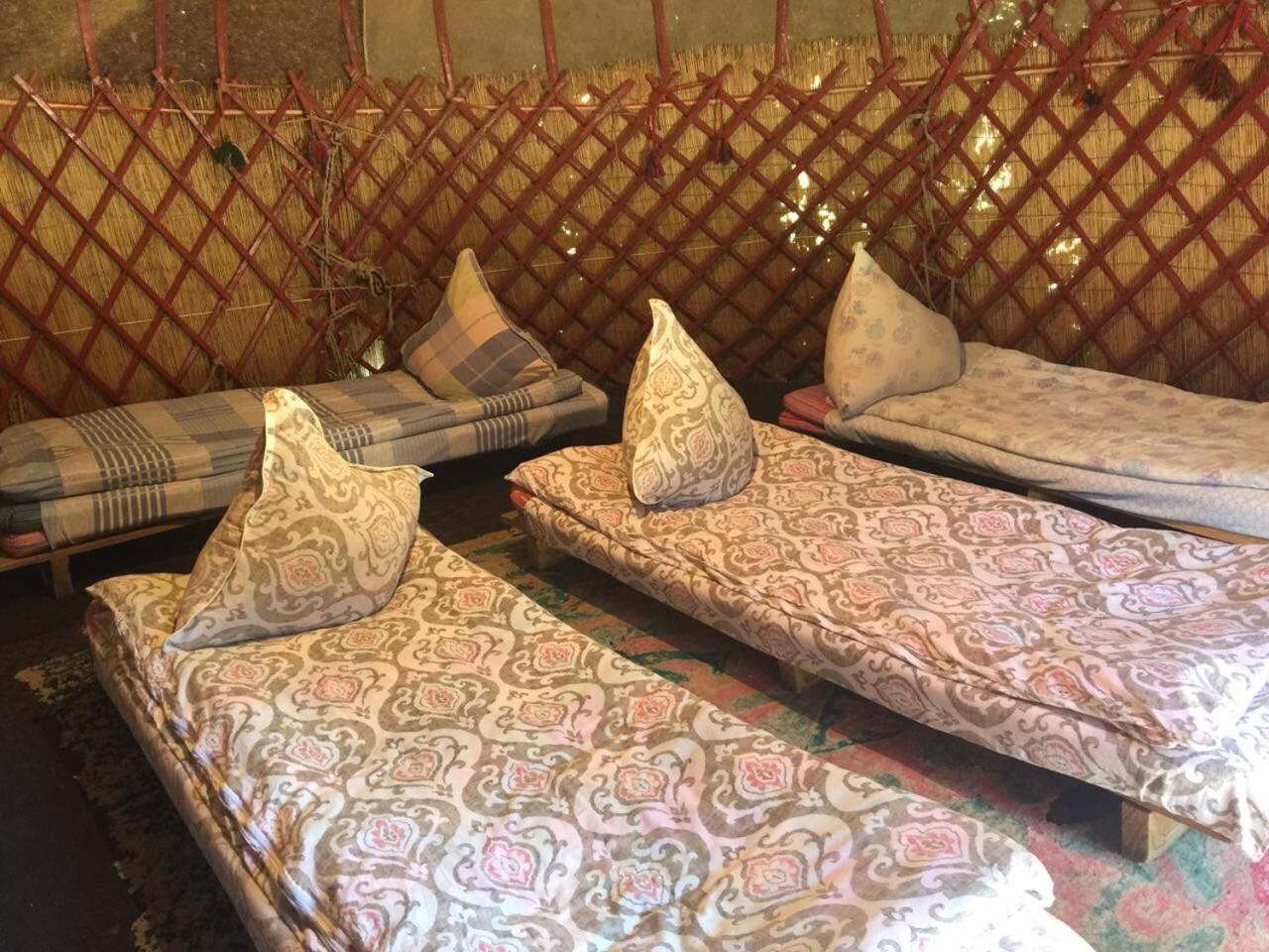 Arista Yurt Camp Otel Karakol Dış mekan fotoğraf